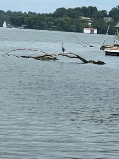 $389,000 | 231 Green Harbor Road, Unit 113A, Old Hickory, TN 37138