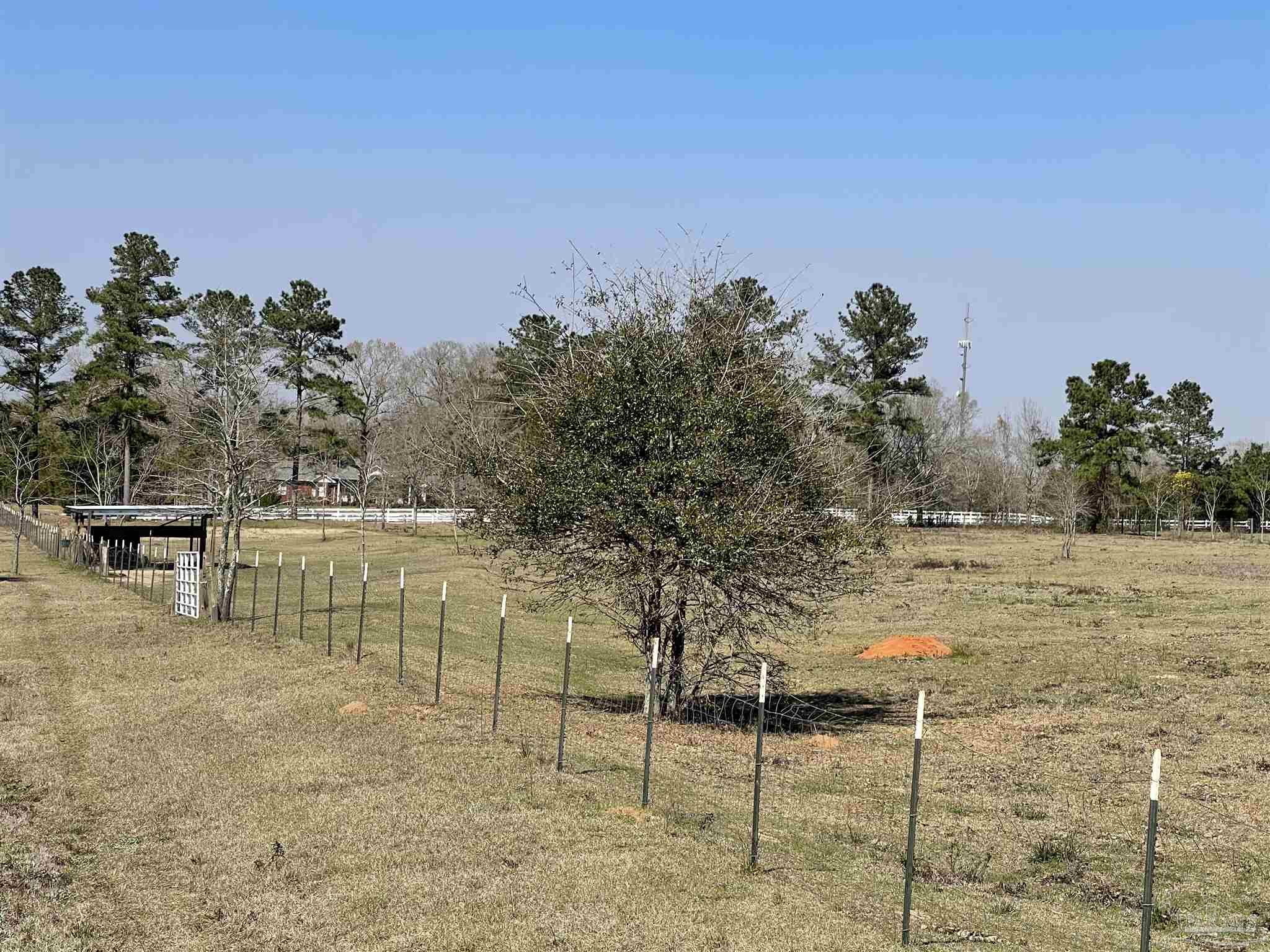 0 Harvest Road Jay, FL 32565 - Photo 13 of 17 Gallery Image 13