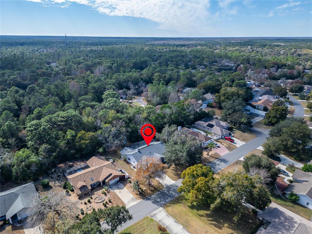 23 Chinkapin Circle Homosassa, FL 34446 - Photo 8 of 69