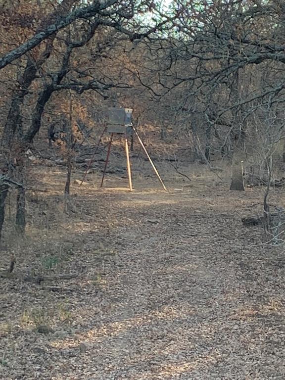 8381 Salt Creek Road Jacksboro, TX 76458 - Photo 11 of 37 a backyard of a house with lots of green space