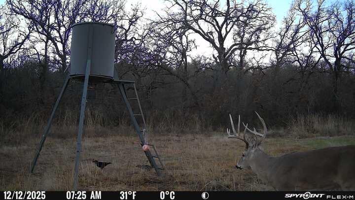 8381 Salt Creek Road Jacksboro, TX 76458 - Photo 15 of 37