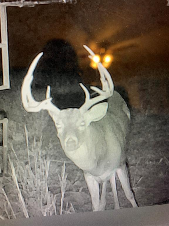 8381 Salt Creek Road Jacksboro, TX 76458 - Photo 16 of 37