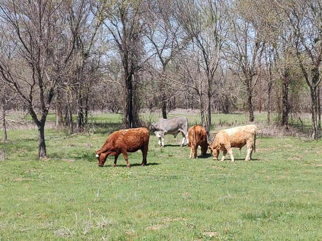 8381 Salt Creek Road Jacksboro, TX 76458 - Photo 17 of 37 a view of a backyard with table and chairs and couches