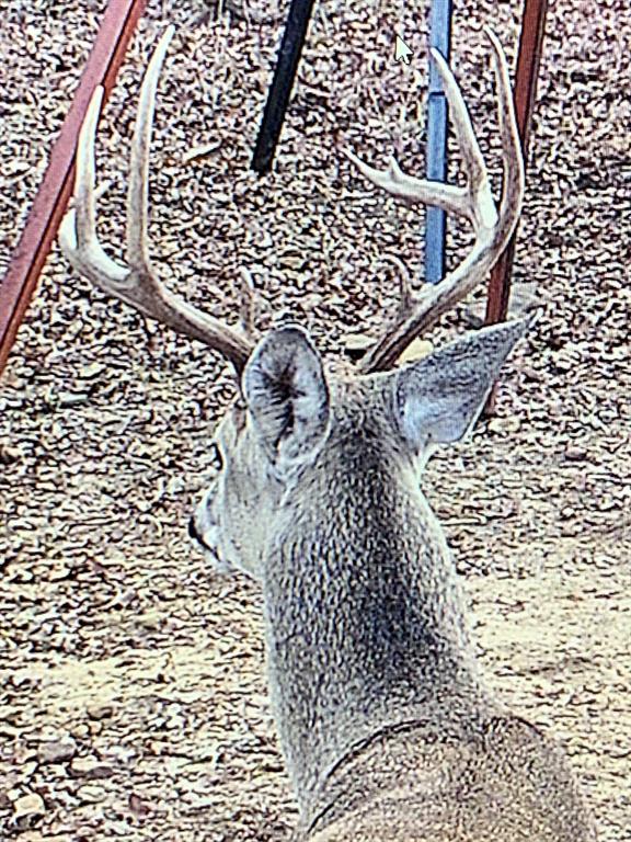 8381 Salt Creek Road Jacksboro, TX 76458 - Photo 22 of 37 unknown