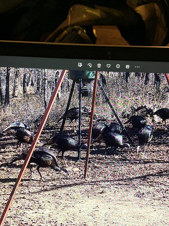 8381 Salt Creek Road Jacksboro, TX 76458 - Photo 23 of 37 a view of room