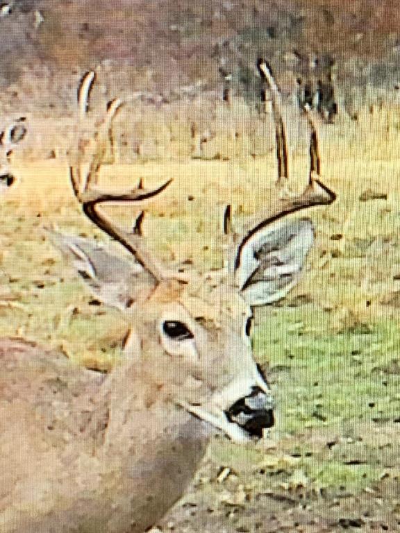 8381 Salt Creek Road Jacksboro, TX 76458 - Photo 24 of 37 a bathroom with a shower