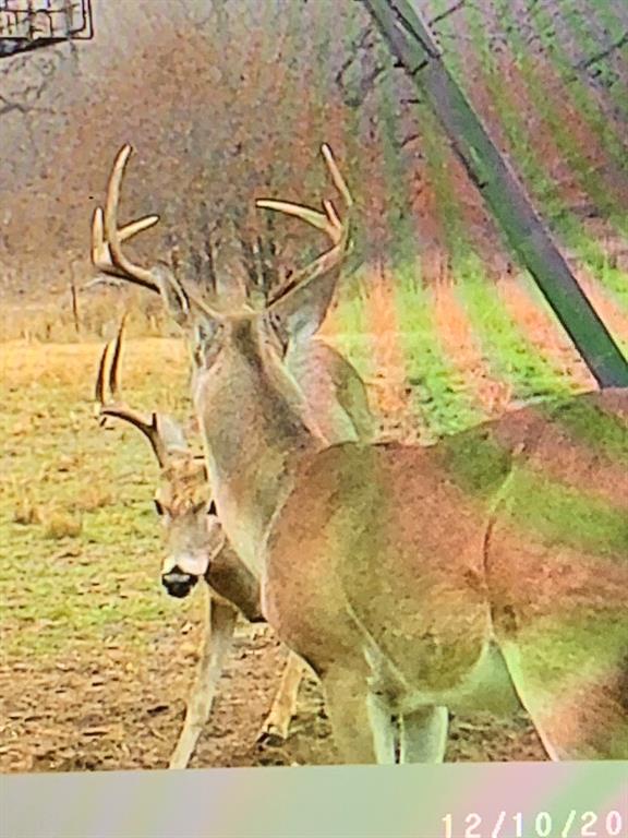 8381 Salt Creek Road Jacksboro, TX 76458 - Photo 25 of 37 a picture of a glass door