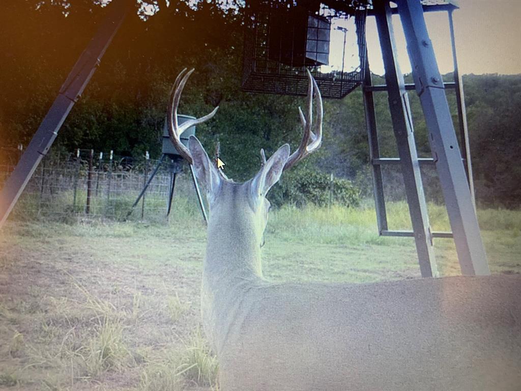 8381 Salt Creek Road Jacksboro, TX 76458 - Photo 26 of 37 a backyard of a house with table and chairs