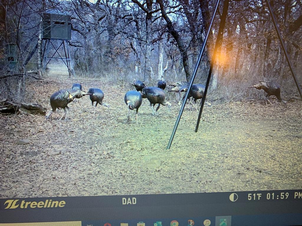 8381 Salt Creek Road Jacksboro, TX 76458 - Photo 29 of 37 a view of yard with an outdoor space