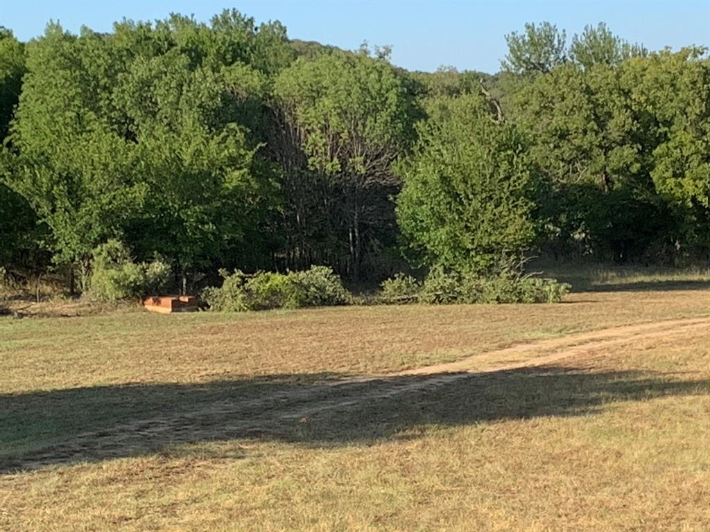 8381 Salt Creek Road Jacksboro, TX 76458 - Photo 3 of 37 a view of a yard with an trees