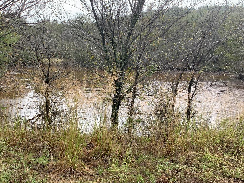 8381 Salt Creek Road Jacksboro, TX 76458 - Photo 31 of 37