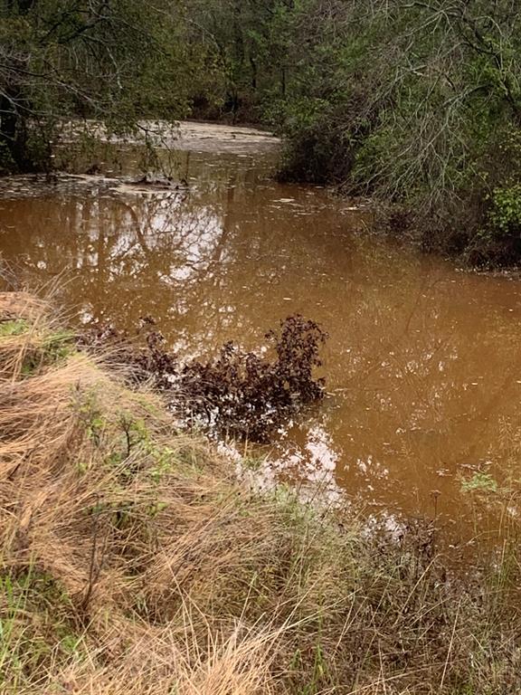 8381 Salt Creek Road Jacksboro, TX 76458 - Photo 32 of 37 a view of a lake with trees
