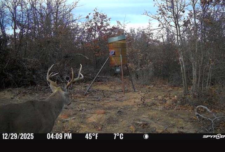 8381 Salt Creek Road Jacksboro, TX 76458 - Photo 33 of 37 a view of outdoor space and yard