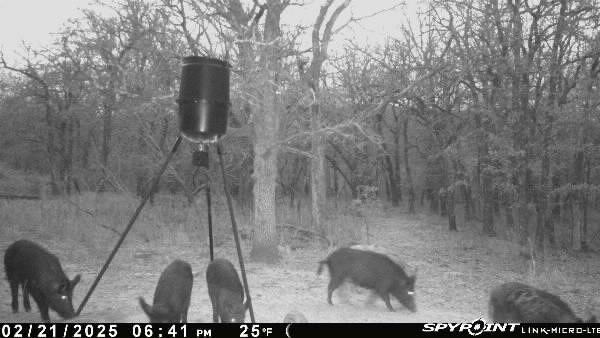 8381 Salt Creek Road Jacksboro, TX 76458 - Photo 34 of 37 a picture of a bathroom