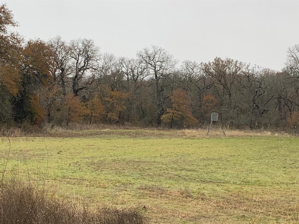 8381 Salt Creek Road Jacksboro, TX 76458 - Photo 4 of 37 a view of a lake view