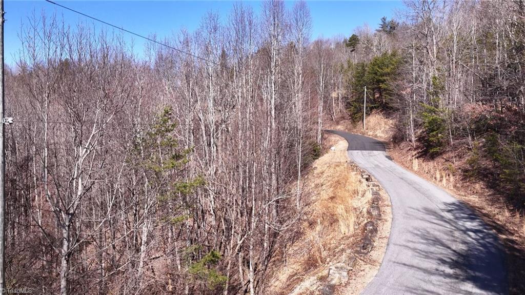 0 Ridge Run Road Boomer, NC 28606 - Photo 10 of 22 Gallery Image 10