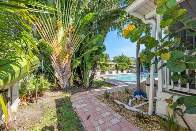 a view of a backyard