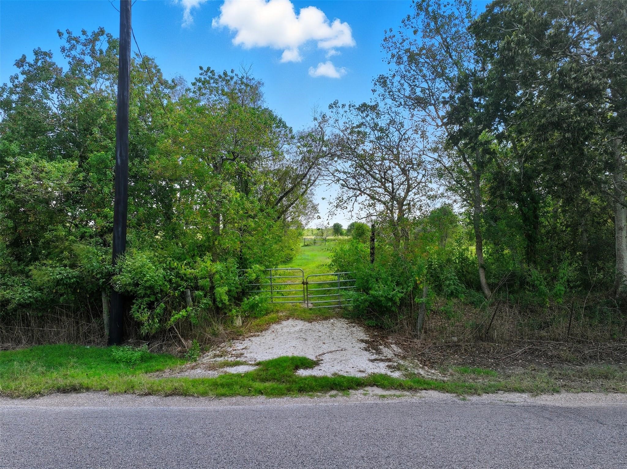 11715 County Road 48 Rosharon, TX 77583 - Photo 6 of 10