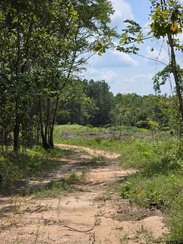 a view of a field with an trees