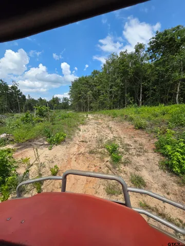 a view of a yard with an outdoor space