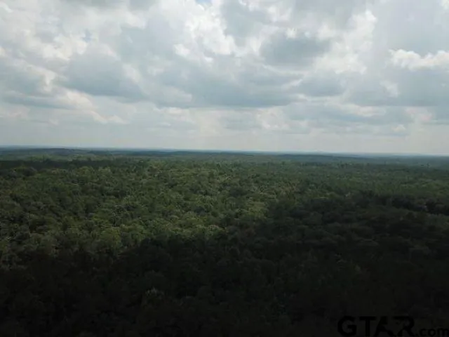 a view of a lake from a yard