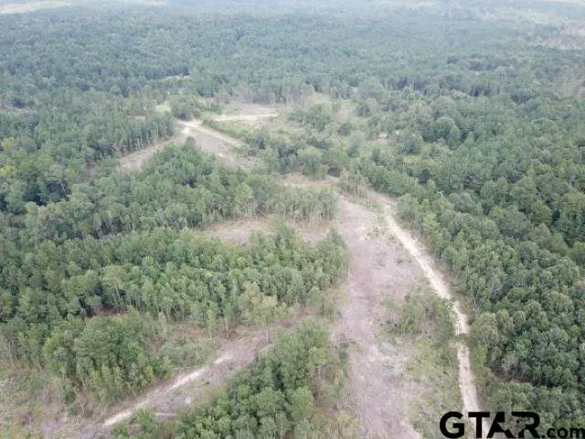 a view of a dry yard