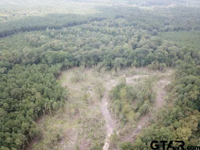 a view of a lake with a city