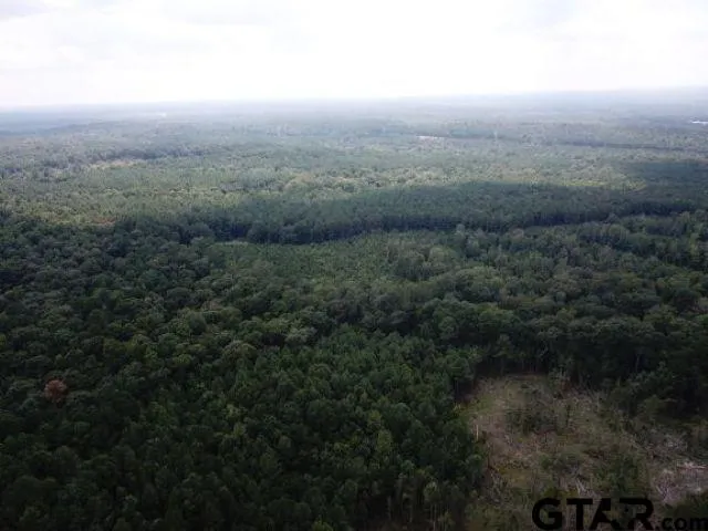 a view of a green field with lots of bushes