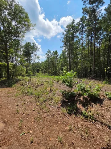 a view of a green field with lots of bushes