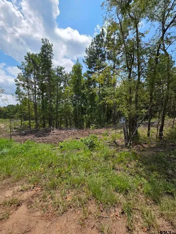 a view of backyard with green space