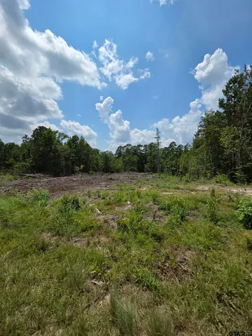 a view of a big yard