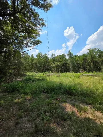 a view of a green field