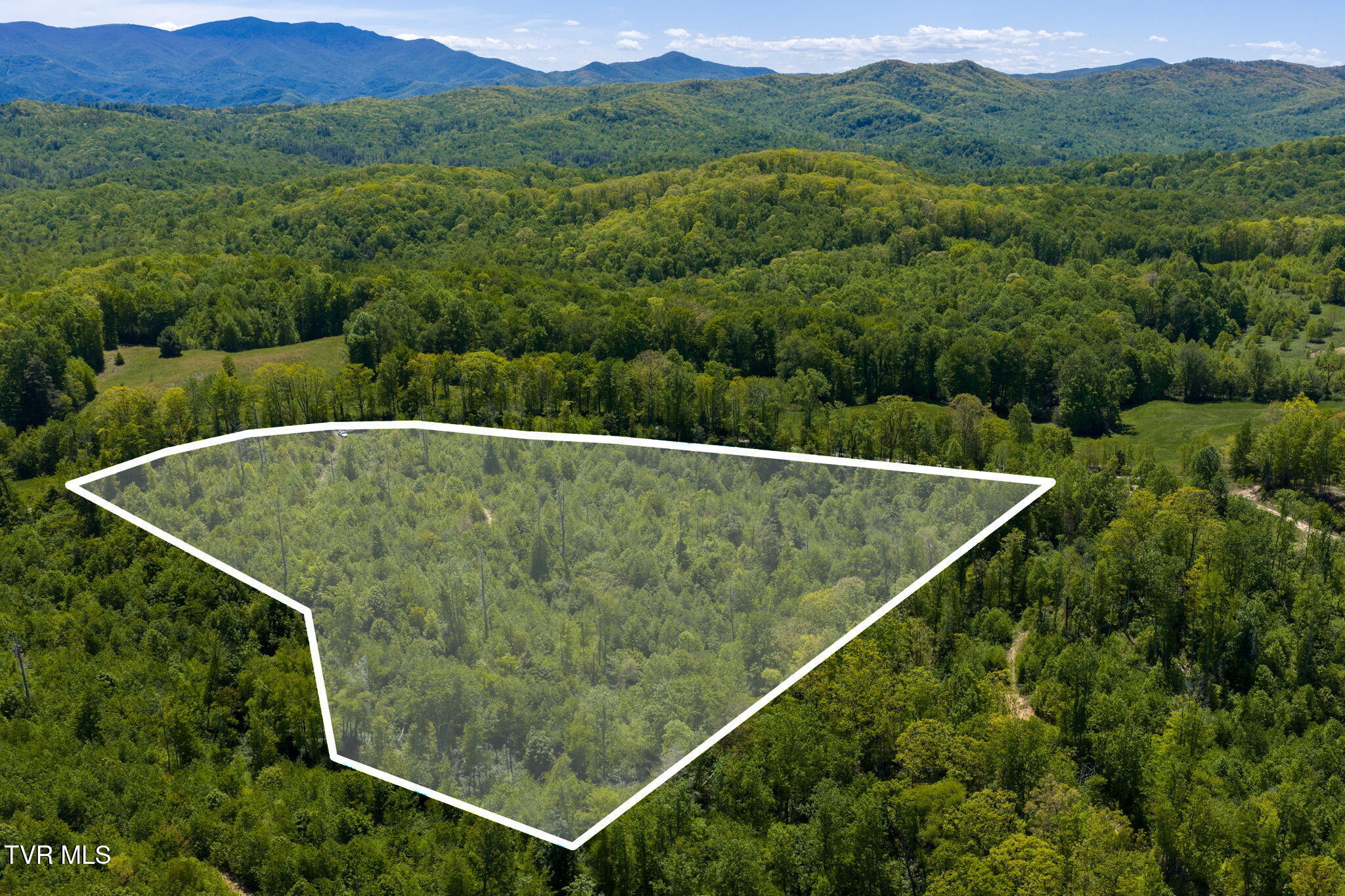 Tbd Walnut Mountain Road, Unit TBD Butler, TN 37640 - Photo 9 of 22 8-web-or-mls-DJI_20260512141643_0702_D