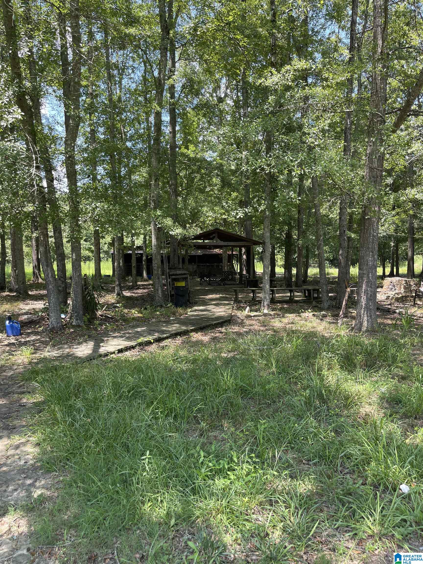165 Crawfish Lane Ragland, AL 35131 - Photo 15 of 22