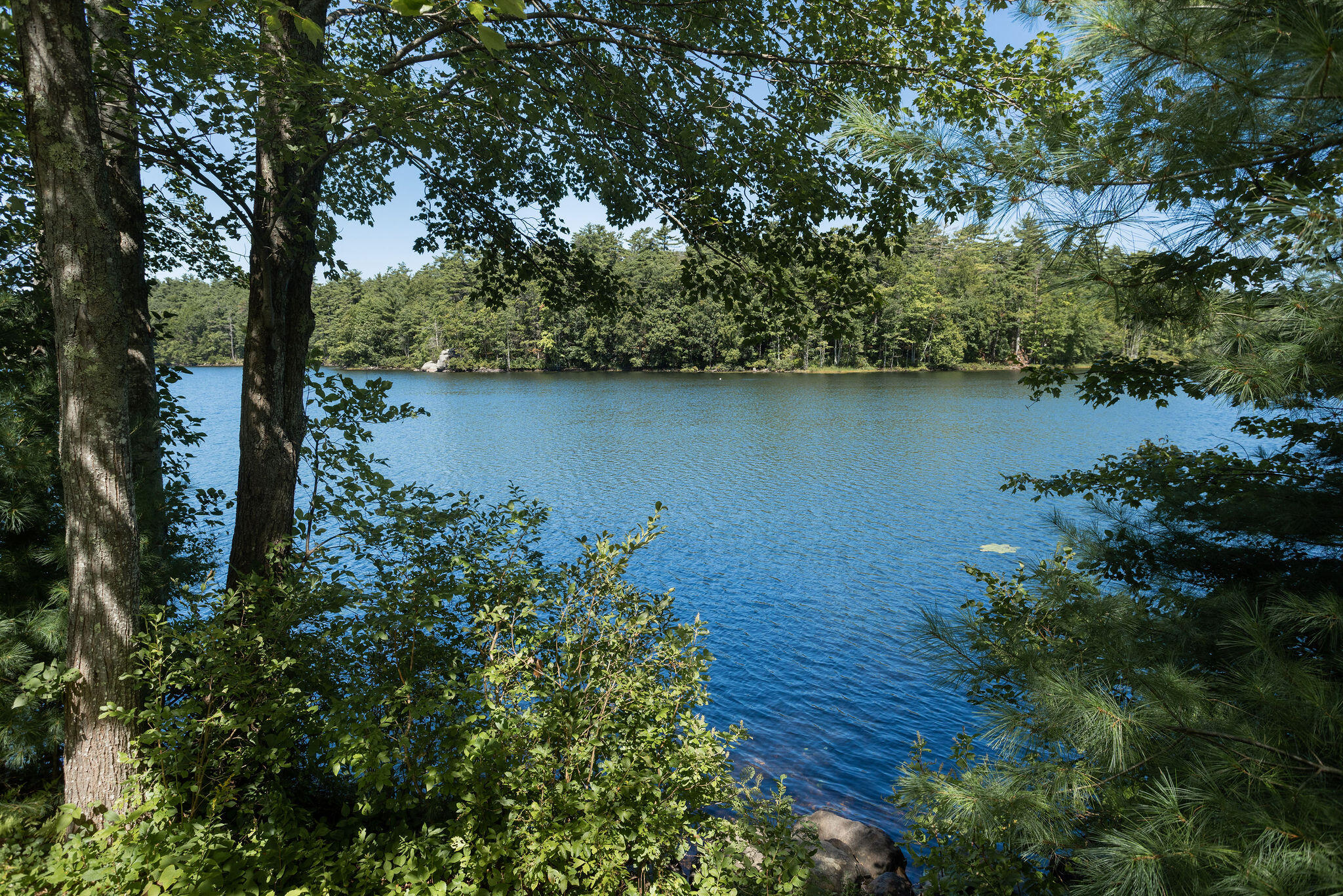 165 Scituate Road York, ME 03909 - Photo 56 of 61 165 Scituate Rd, York