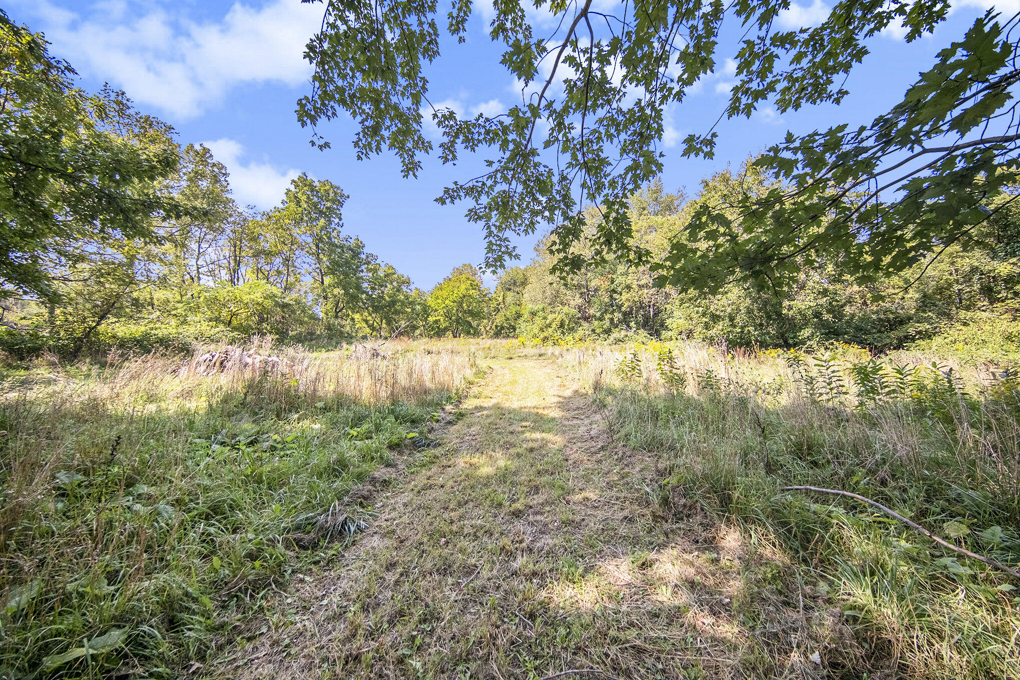9000 North Meridian Road Pleasant Lake, MI 49272 - Photo 24 of 28 024_sbp_104