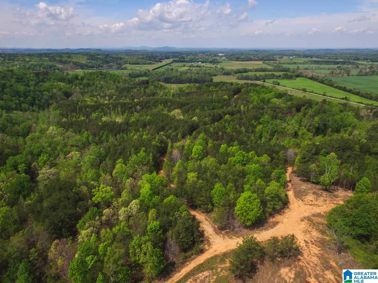 0 Henderson Lake Road, Unit 128 Munford, AL 36268 - Photo 30 of 31