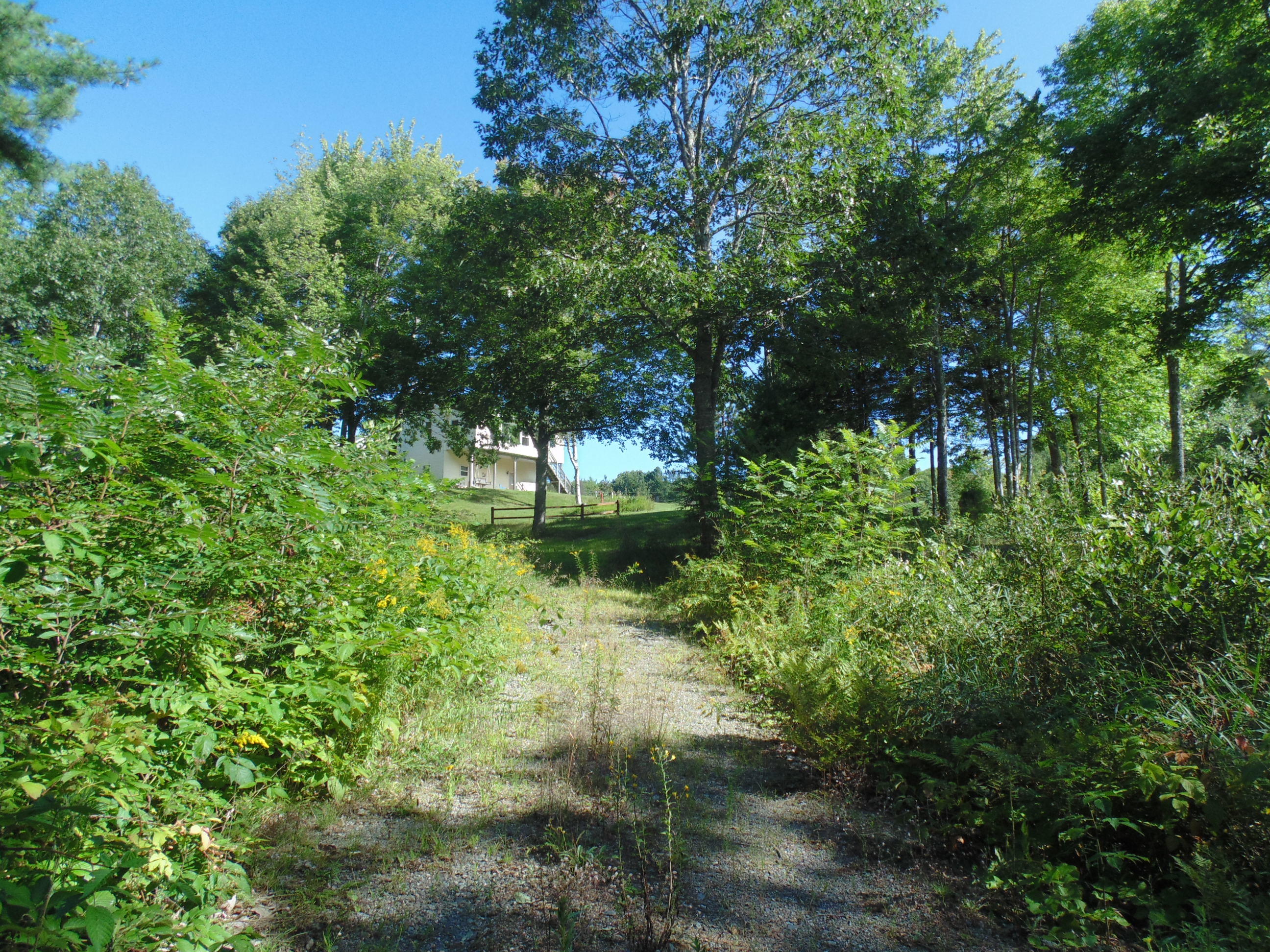 537 Airline Road Amherst, ME 04605 - Photo 48 of 57 DSC05763