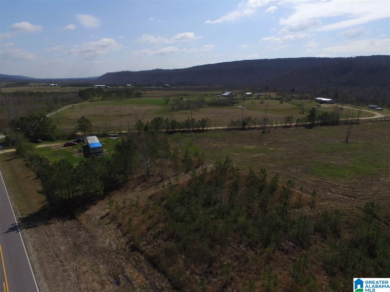 Shoal Creek Road, Unit 4 Springville, AL 35146 - Photo 9 of 10