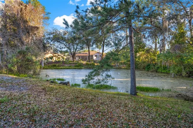 $5,000 | 6445 Renwick Circle, Tampa, FL 33647