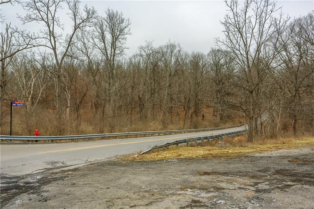 0 Mingo Road Wexford, PA 15090 - Photo 19 of 20 looking up Neely School rd