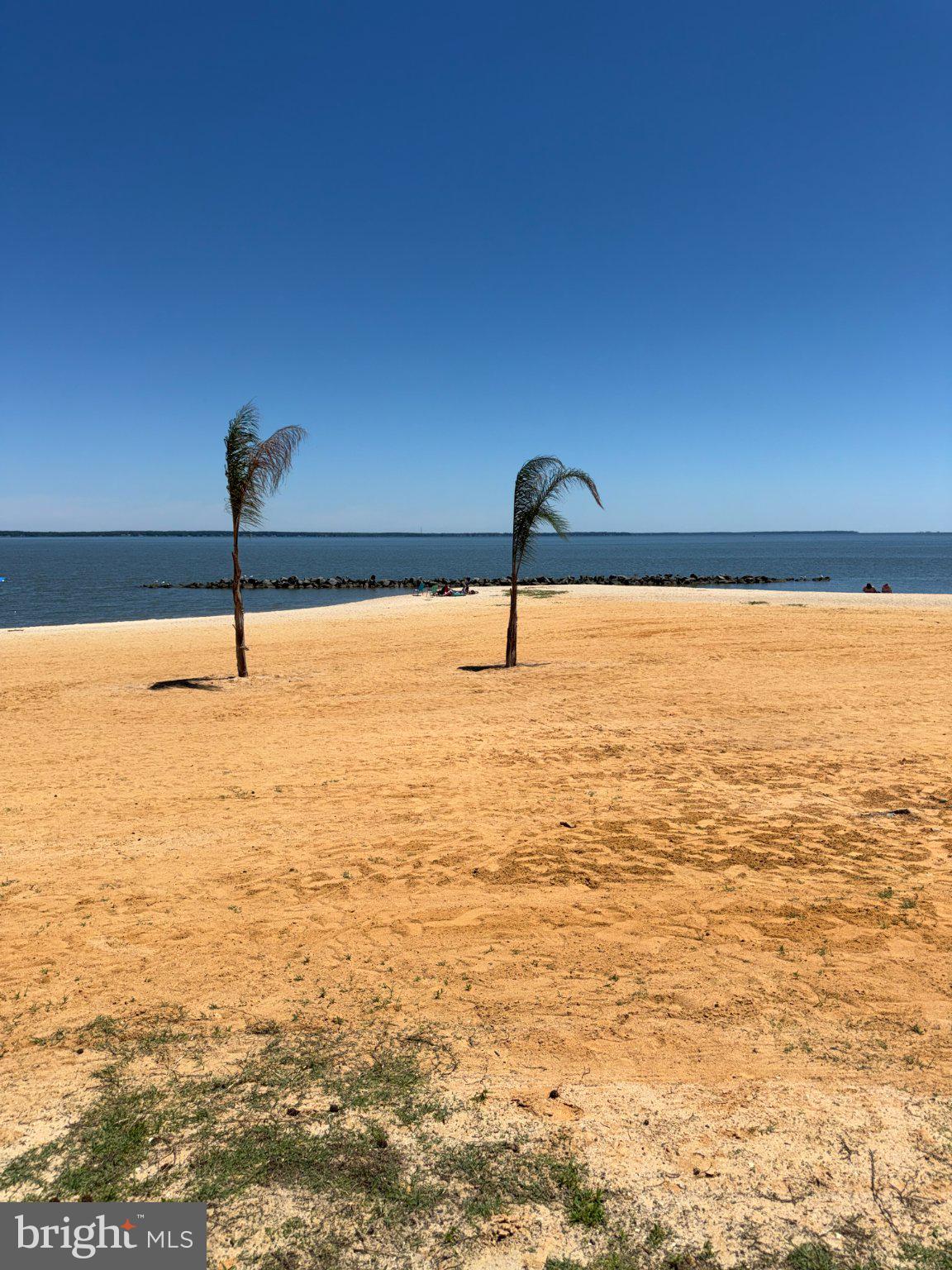 32 Placid Road Colonial Beach, VA 22443 - Photo 80 of 80 Sunny shores with swaying palms.