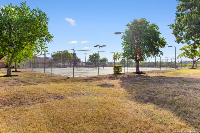 a view of yard with tree