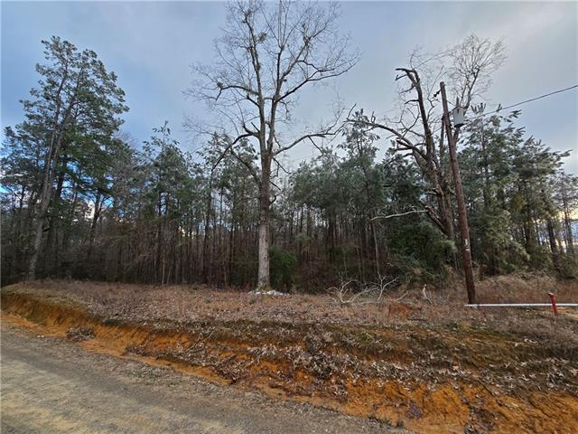 0 C C Smith Road Leesville, LA 71446 - Photo 1 of 5