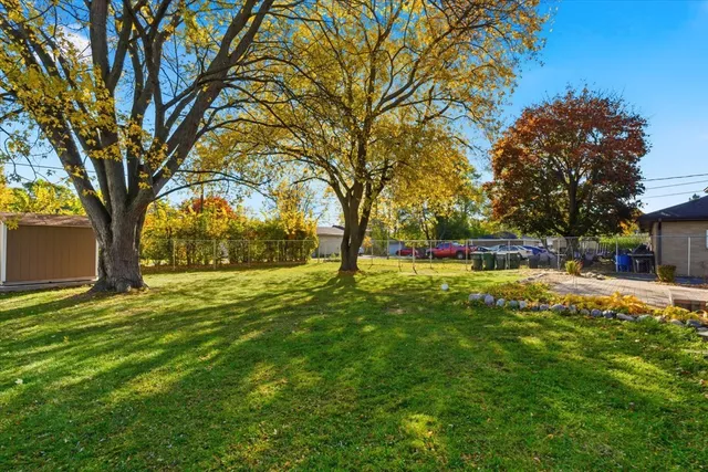 a view of a yard with plants and large trees
