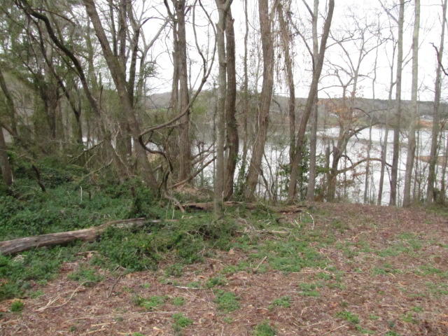 Brahman Road Kingston, TN 37763 - Photo 1 of 7 IMG_0629