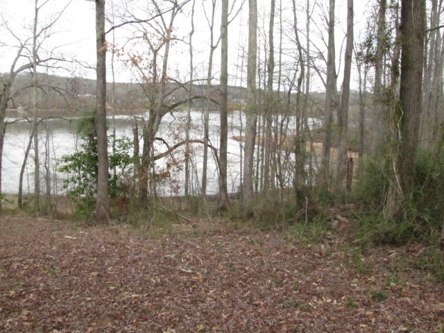 Brahman Road Kingston, TN 37763 - Photo 2 of 7 IMG_0631