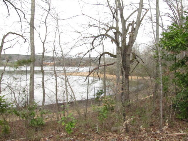 Brahman Road Kingston, TN 37763 - Photo 3 of 7 IMG_0635
