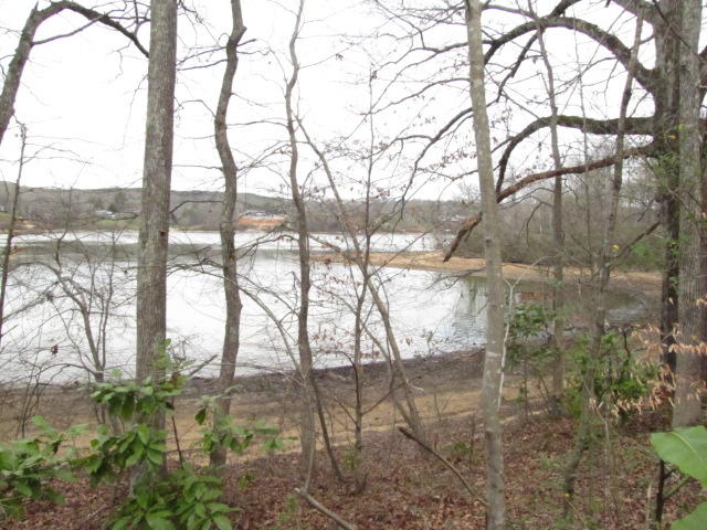 Brahman Road Kingston, TN 37763 - Photo 4 of 7 IMG_0636