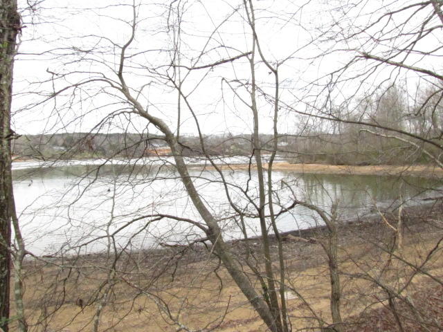 Brahman Road Kingston, TN 37763 - Photo 5 of 7 IMG_0637